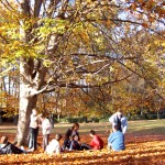 Els Roures - Picnic sota un arbre