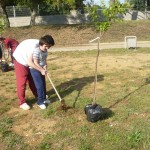 Residencia Joan Riu - Plantant un arbre